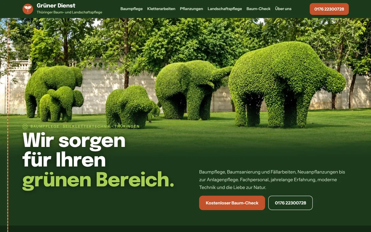 Designprobe Grüner Dienst, Ansicht am Computer